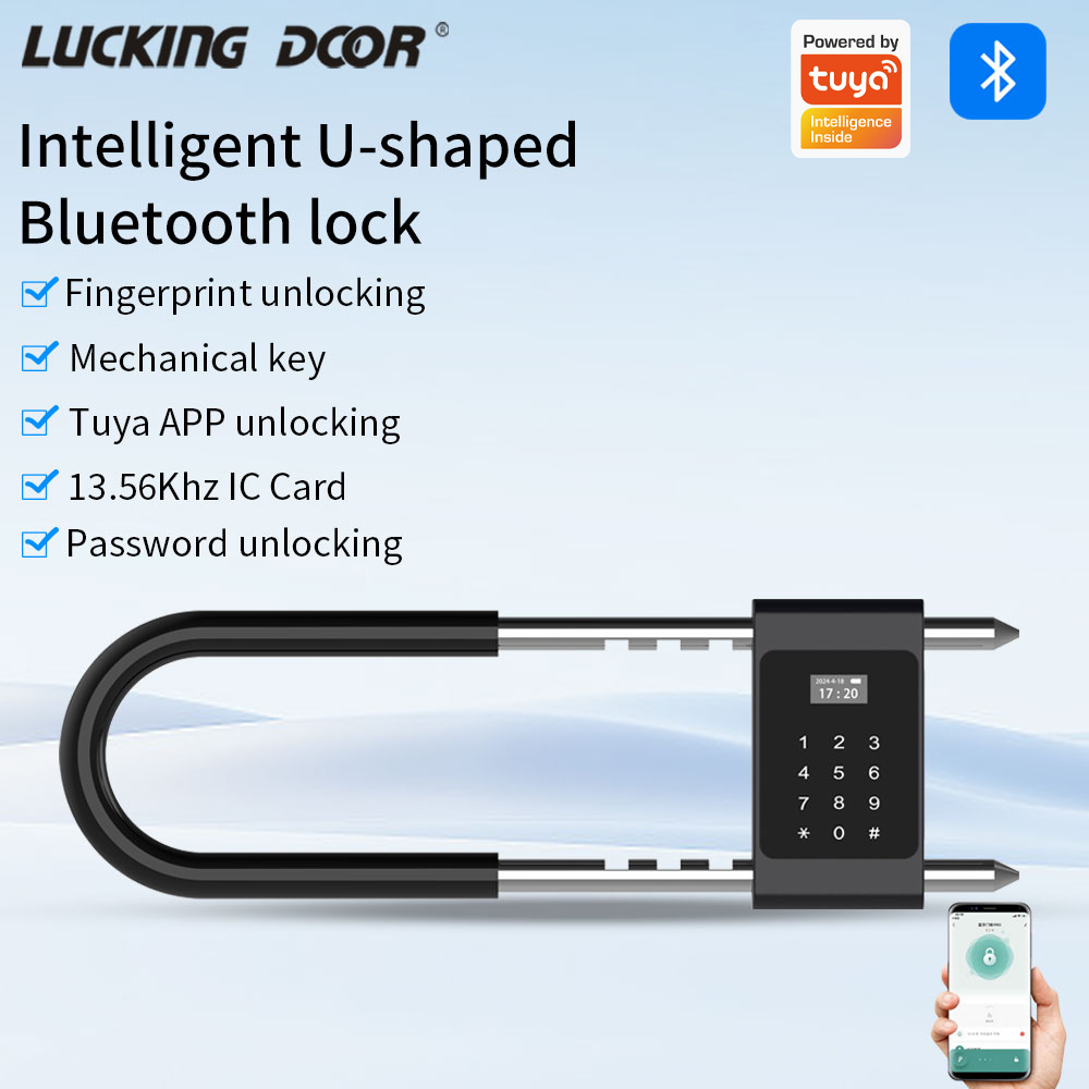 Electronic Biometric Fingerpri - Smart Door Lock Wifi 评论和价格